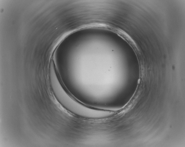 X0000076270860200609281204