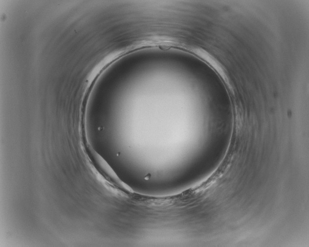 X0000076270861200609281204