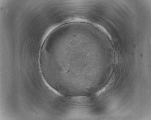 X0000076270863200609281204