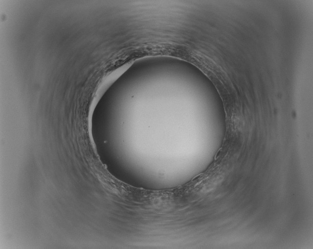 X0000076270865200609281203