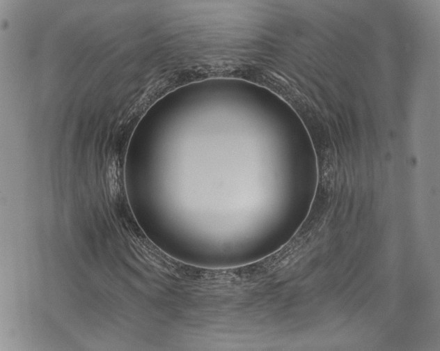 X0000076270866200609281203