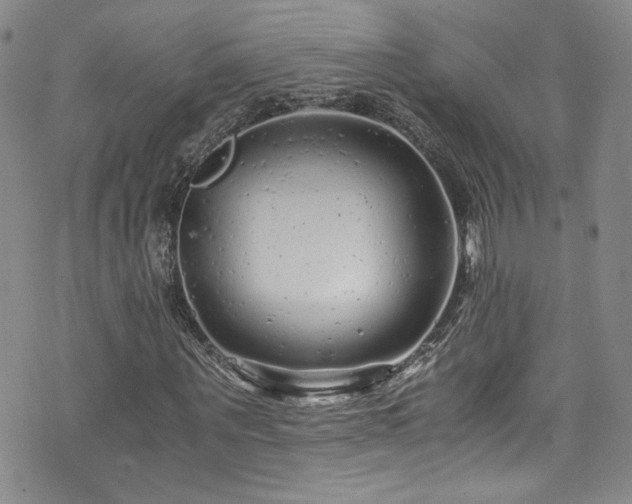 X0000076270867200609281203