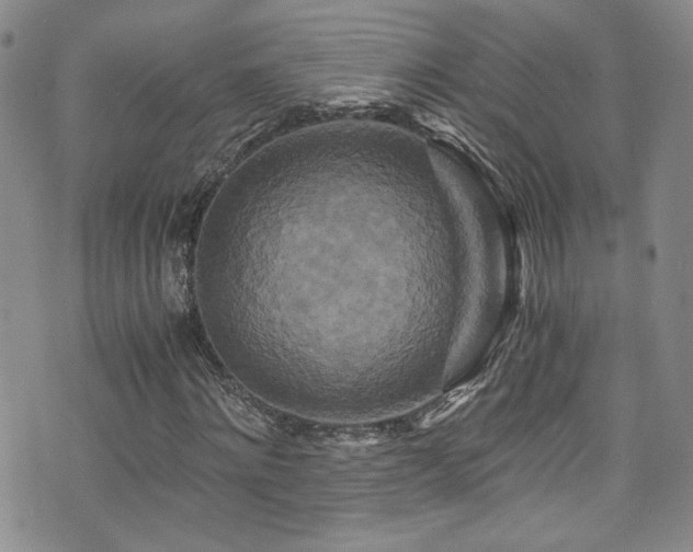 X0000076270868200609281203