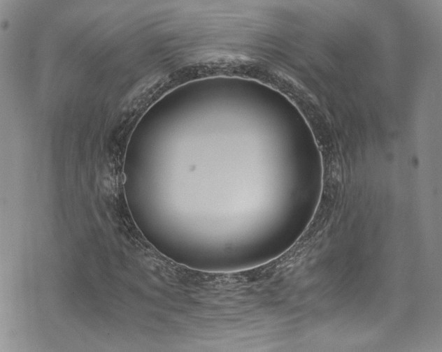 X0000076270869200609281203