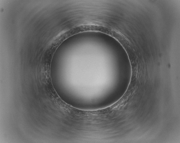 X0000076270870200609281203