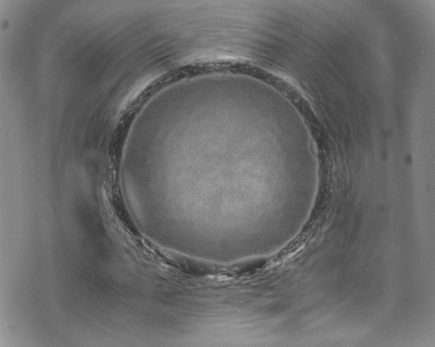 X0000076270871200609281203