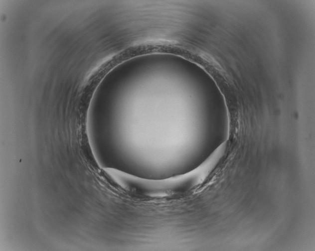 X0000076270872200609281203