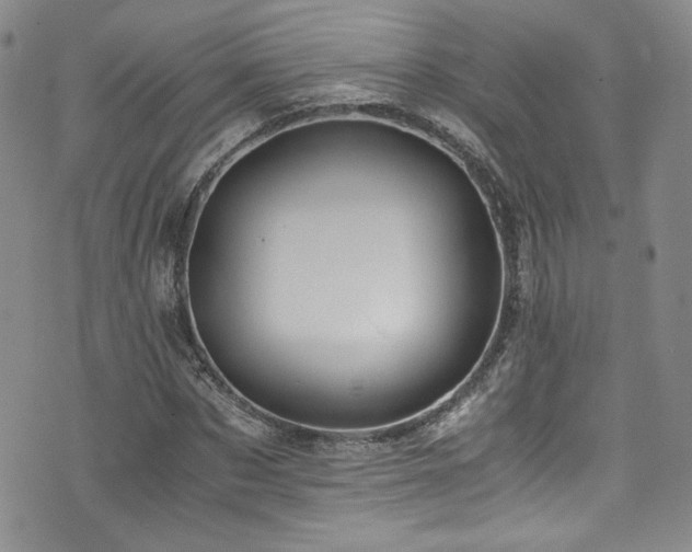 X0000076270873200609281203