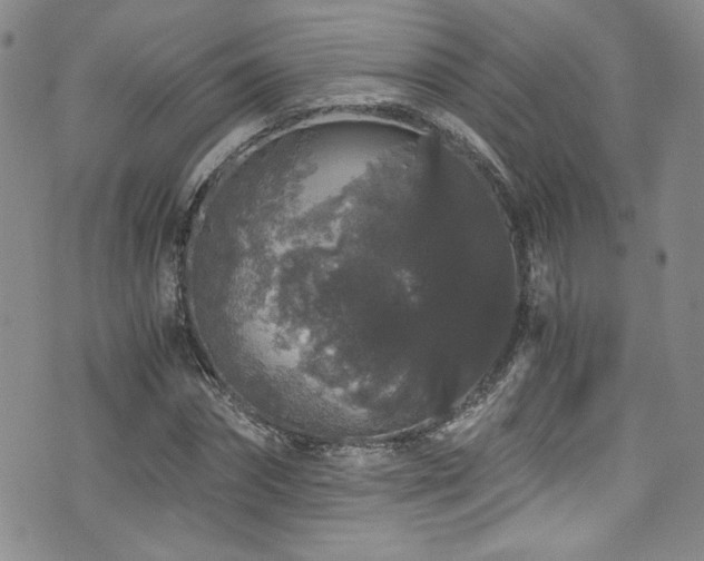 X0000076270874200609281203