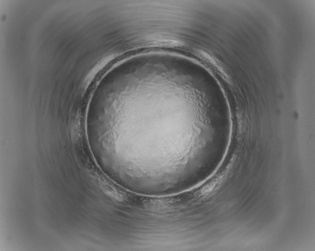 X0000076270875200609281203