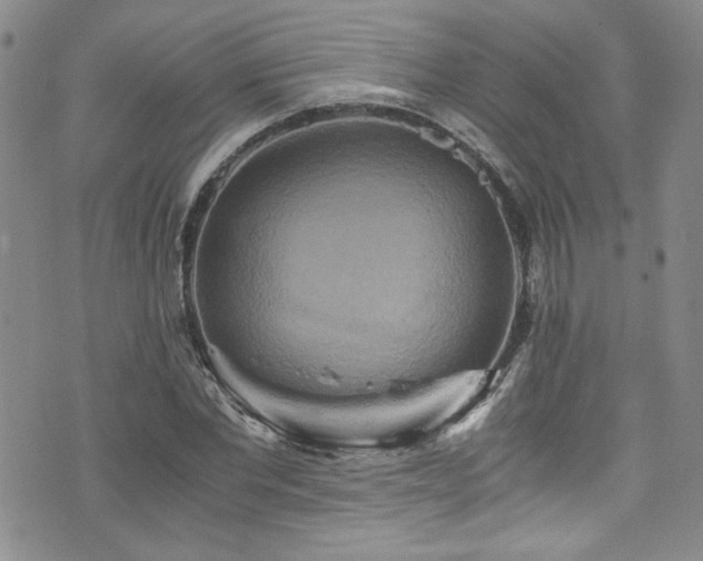 X0000076270877200609281203