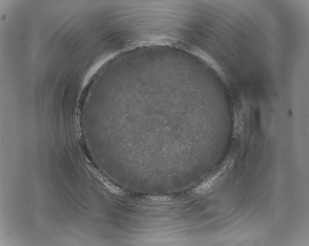 X0000076270878200609281203