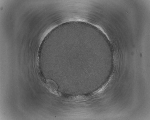 X0000076270879200609281203