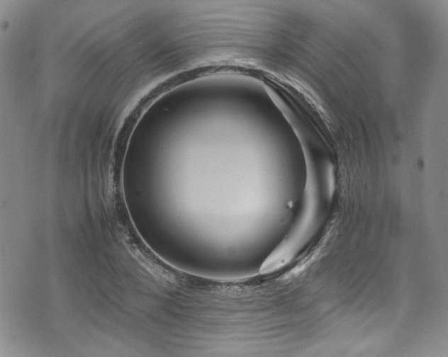 X0000076270880200609281203