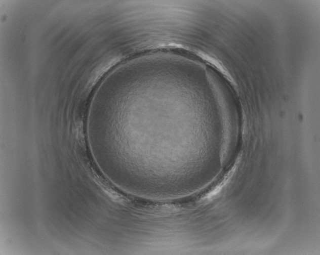 X0000076270881200609281203