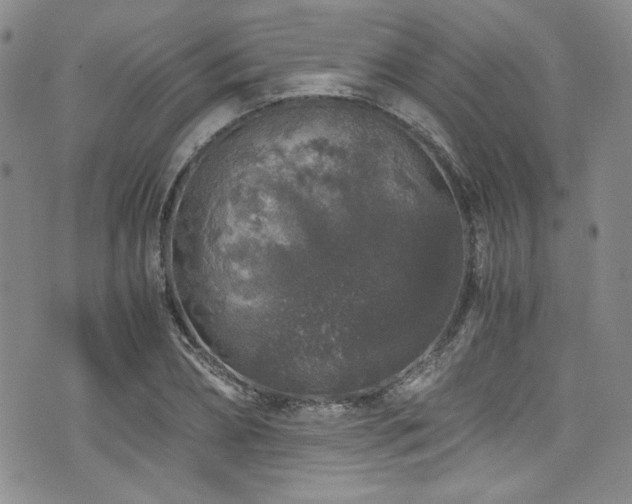 X0000076270882200609281203