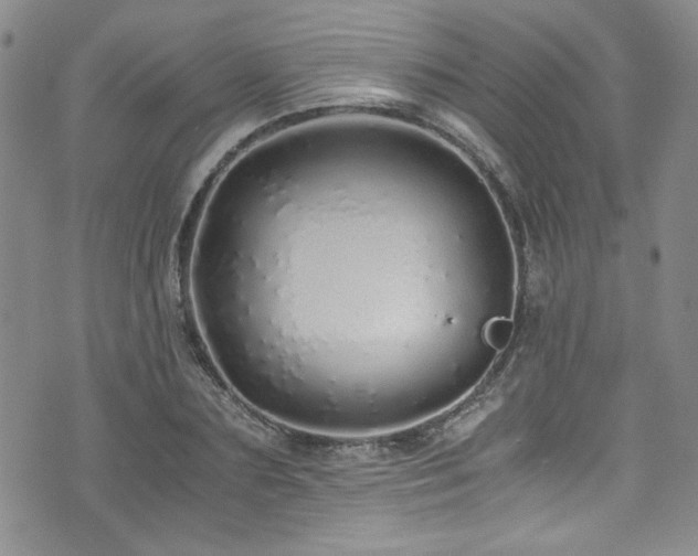 X0000076270883200609281203