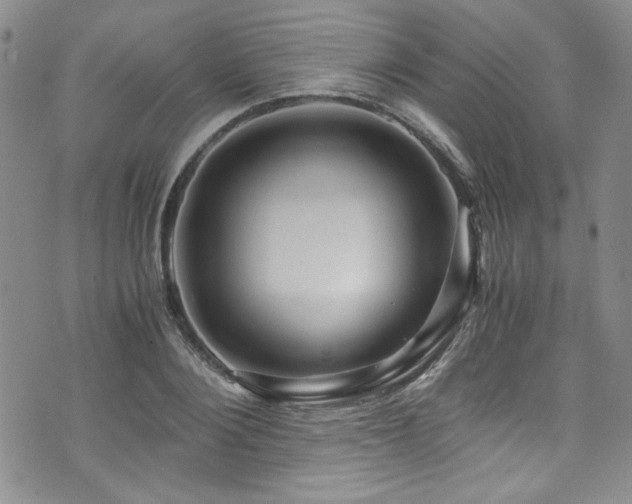 X0000076270884200609281203