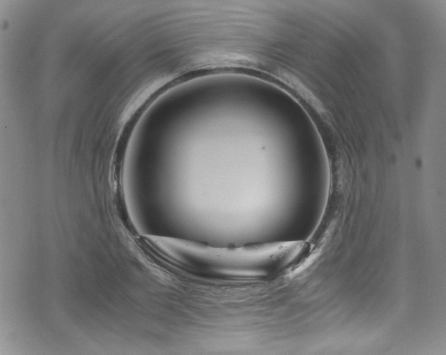 X0000076270885200609281203