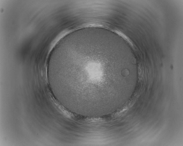 X0000076270886200609281203