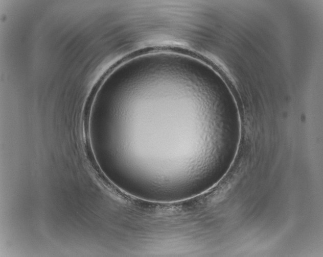 X0000076270887200609281203