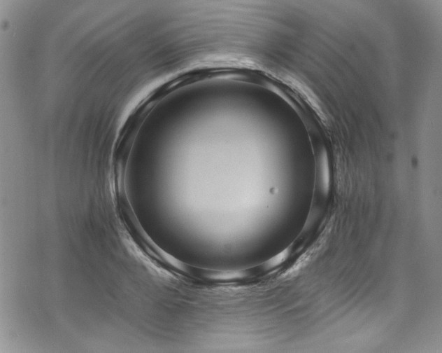 X0000076270888200609281203