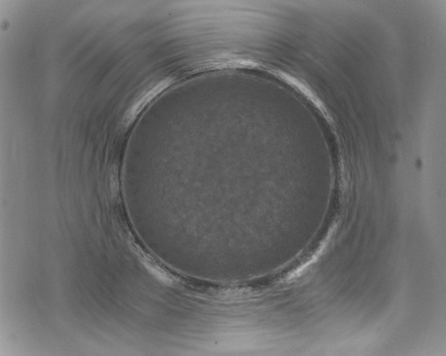 X0000076270889200609281203