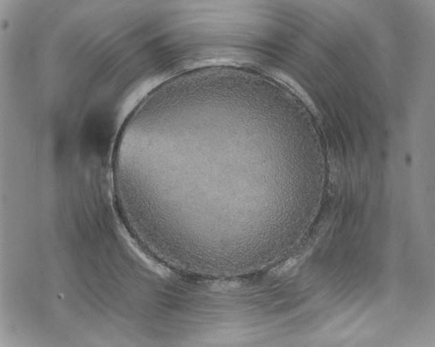 X0000076270890200609281202