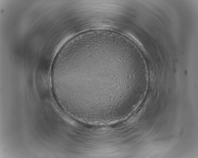 X0000076270891200609281202