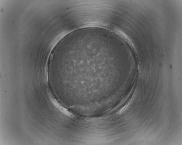 X0000076270892200609281202