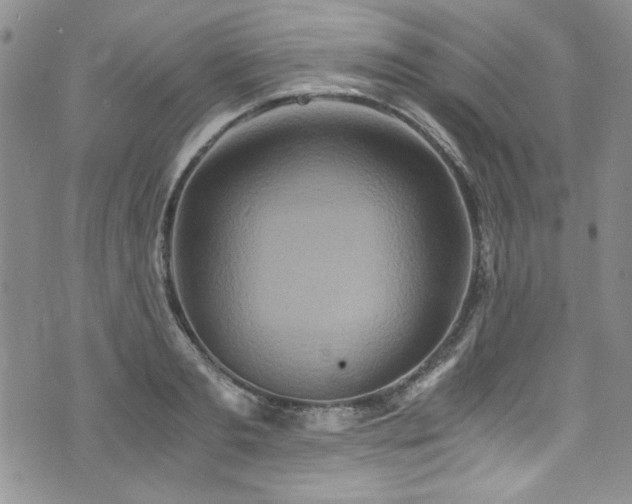 X0000076270893200609281202