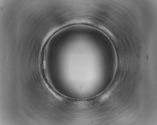 X0000076270894200609281202