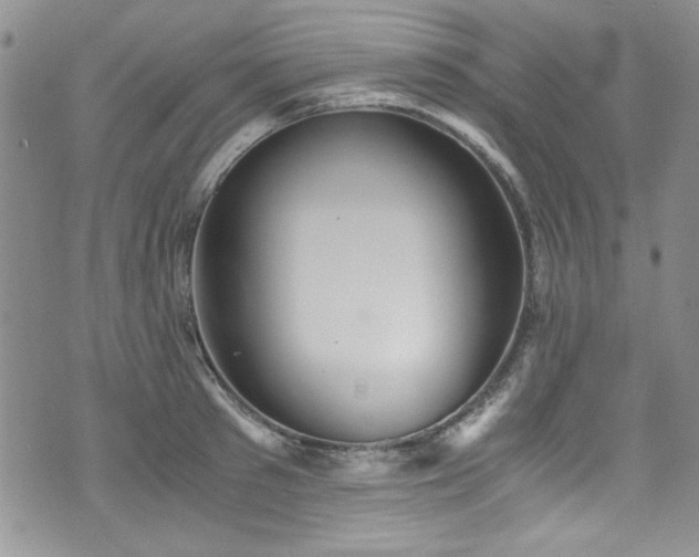 X0000076270897200609281202