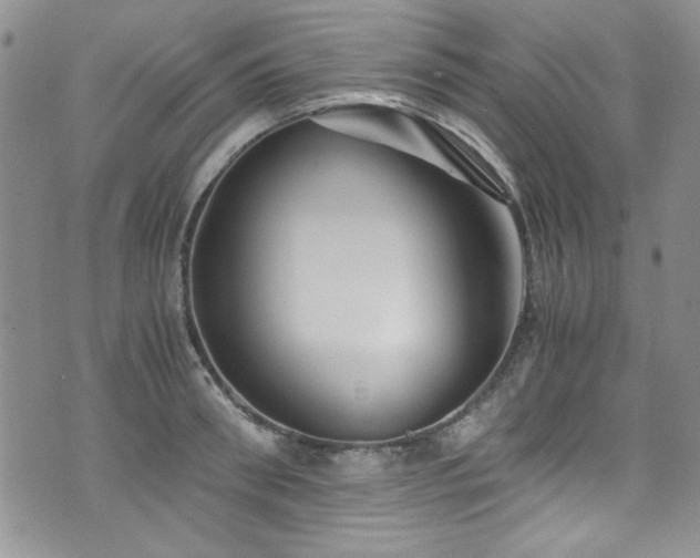 X0000076270898200609281202