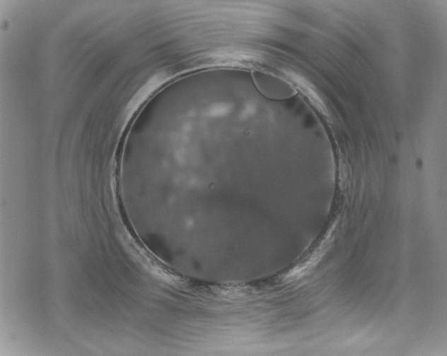 X0000076270899200609281202