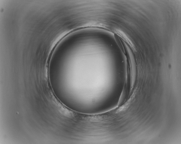 X0000076270900200609281202