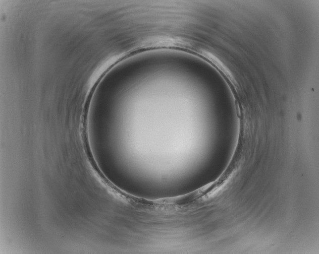 X0000076270901200609281202