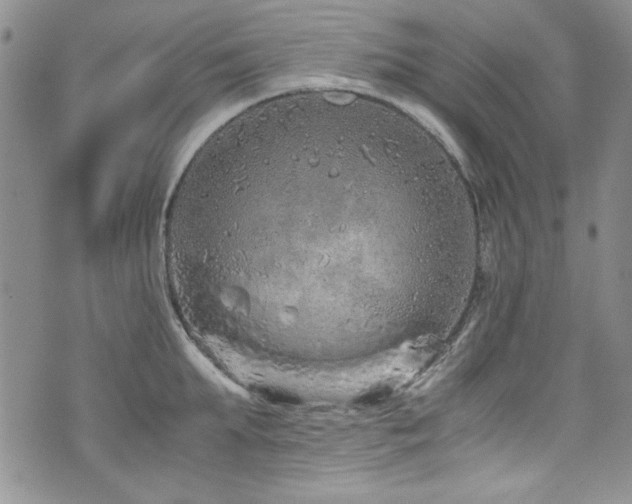 X0000076270903200609281202