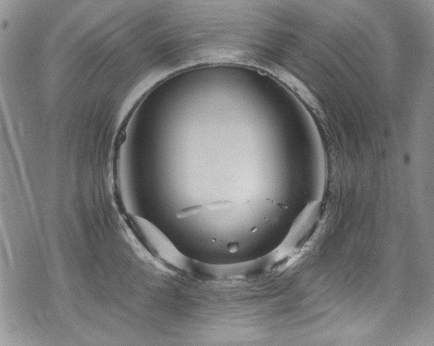 X0000076270904200609281202