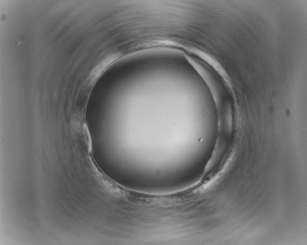 X0000076270905200609281202