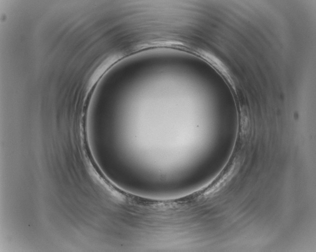 X0000076270906200609281202