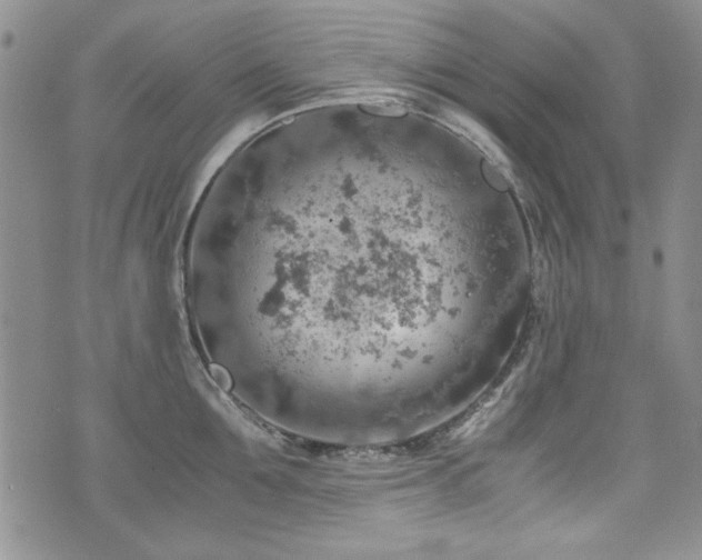 X0000076270907200609281202