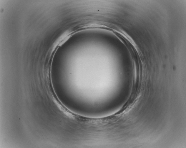 X0000076270909200609281202