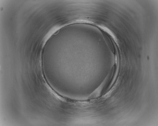 X0000076270910200609281202