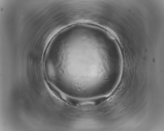 X0000076270911200609281202