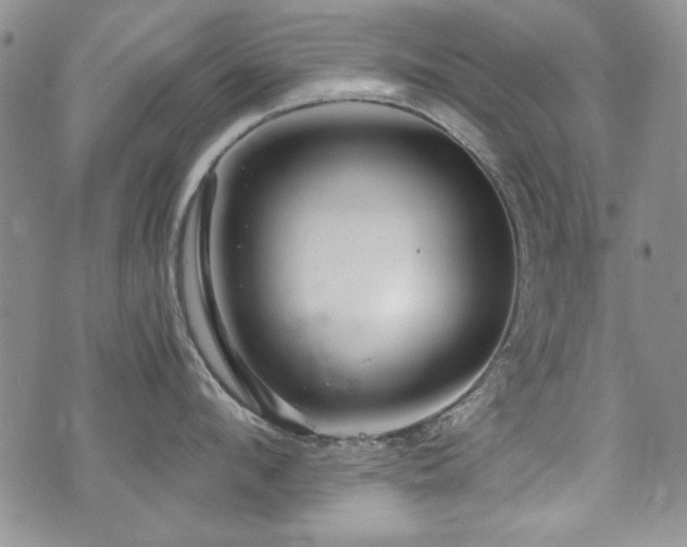 X0000076270912200609281202