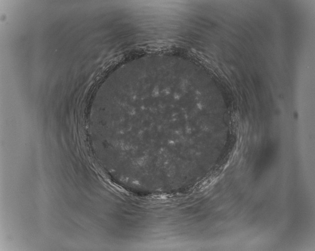 X0000076270913200609281201