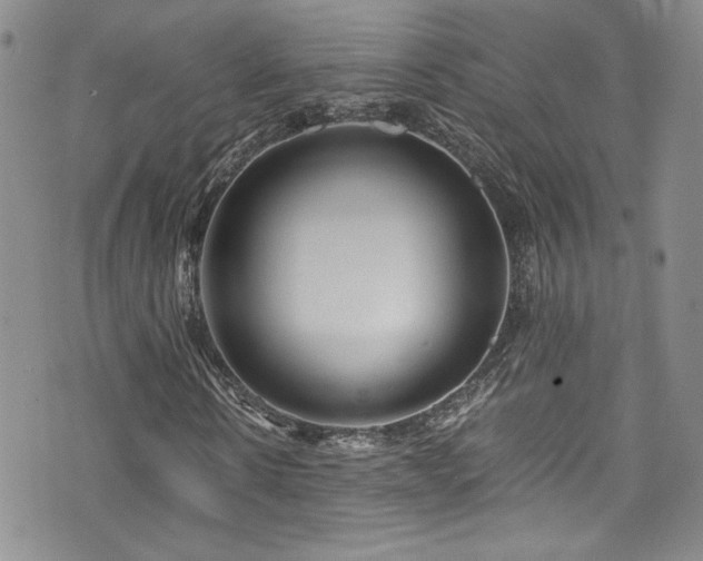 X0000076270914200609281201