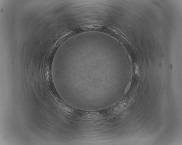 X0000076270915200609281201