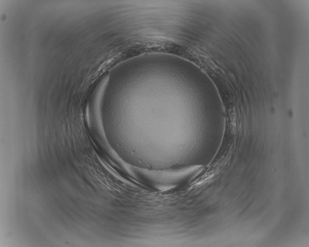 X0000076270916200609281201